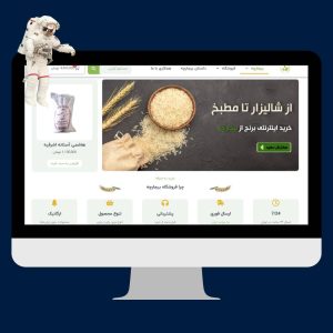 بیجارچه نمونه کار طراحی سایت